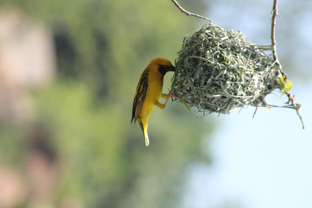 La Mer Lodge Richards Bay Zewnętrze zdjęcie